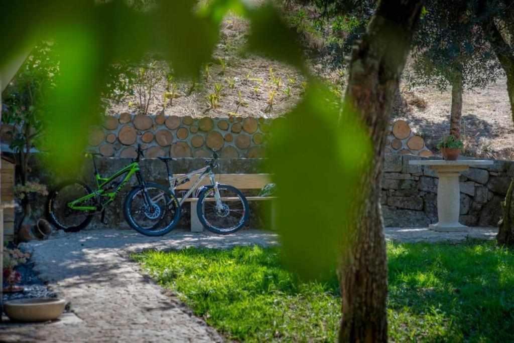 Torrão Quinta Vale De Fradesゲストハウス エクステリア 写真